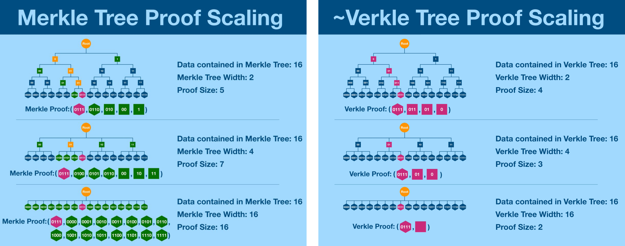 Verkle tree scaling from Inevitable Ethereum’s “Verkle Tree”